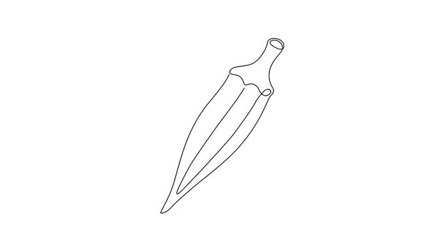 Minimalist continuous line drawing animation of a fresh okra pod gradually forming on a clean white background