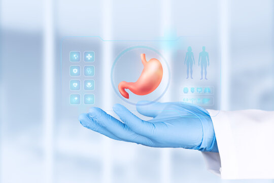 A doctor's hand, wearing a light blue glove, holds up a diagram of the stomach. Gastroenterology, pathology, and hiatal hernia detection concept. Bokeh background. Isolated.