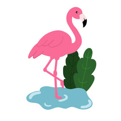 Fototapeta premium pink flamingo vector illustration