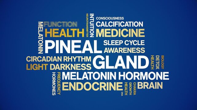 Pineal Gland animated word cloud-animation tag kinetic typography seamless loop.