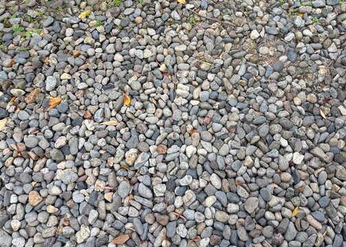 Natural Pebble Stone Texture Background