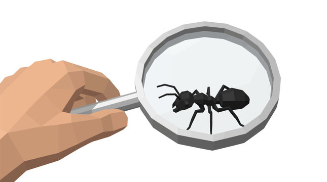 Hand holding magnifying glass over black ant, examining insect, low poly illustration, isolated on transparent background