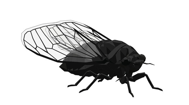 Low poly cicada insect illustration, isolated on transparent background, geometric style, insect art