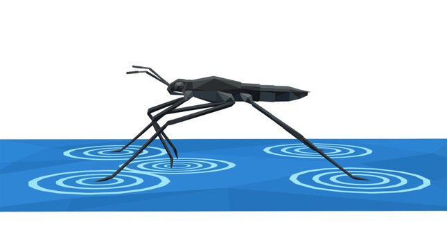 Low poly water strider insect walking on water surface with ripples, isolated on transparent background