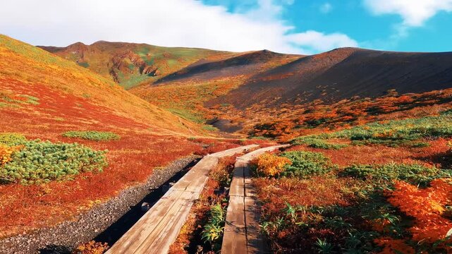 紅葉の秋田駒ヶ岳のムーミン谷