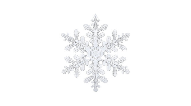A single detailed crystalline snowflake on a plain white background, soft studio light, photorealistic, no text.