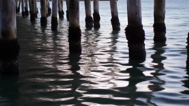 桟橋の柱に揺れる反射光 シームレスループ動画背景 16:9 4K