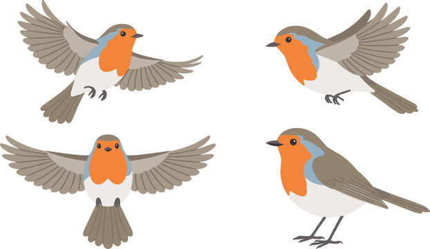Cute European Robin Bird Vector Clipart Set with Flying and Perching Songbird Poses, Redbreast Character Icons for Winter Holiday Cards and Nature Designs
