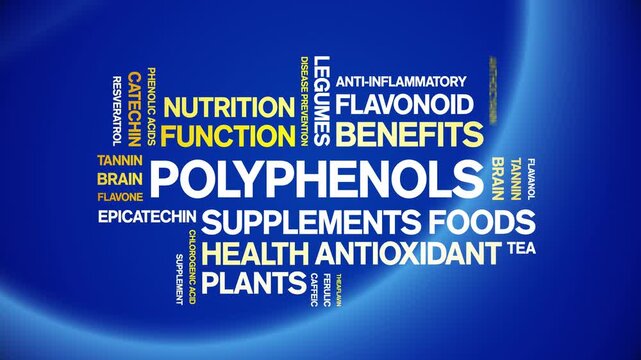 Polyphenols animated word cloud-animation tag kinetic typography seamless loop.
