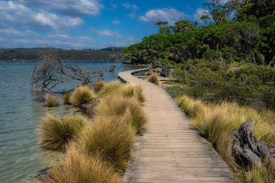 Winding Boardwalk At High Tide