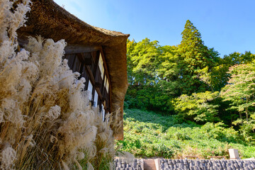 山形の古民家 田麦俣(たむぎまた)   © rujin