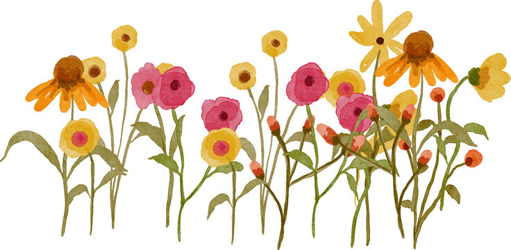 Watercolor painting of a vibrant meadow with various wildflowers including coneflowers and poppies in shades of pink yellow and orange on a transparent background.