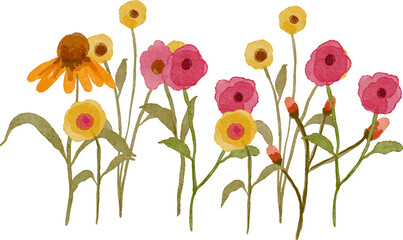 Obraz premium Delicate watercolor illustration of a variety of wildflowers in shades of pink yellow and orange with green stems and leaves on a transparent background.