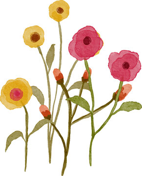 Watercolor painting of delicate pink and yellow wildflowers with green leaves and buds isolated on a white background artistic floral illustration