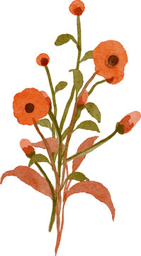 Watercolor painting of a delicate bouquet of orange poppies and green leaves isolated on a white background artistic floral illustration