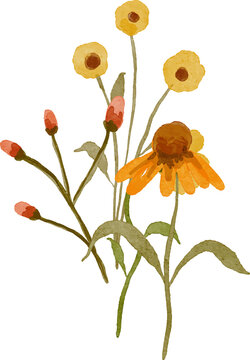 Watercolor floral illustration of a bouquet with orange coneflower and yellow wildflowers with buds isolated on white background
