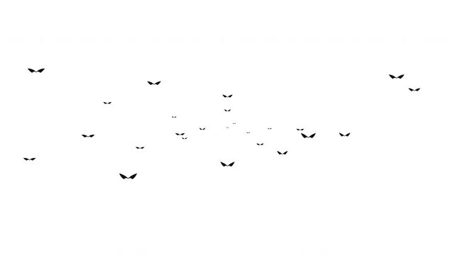 Halloween icon animation set with spooky eyes on white background