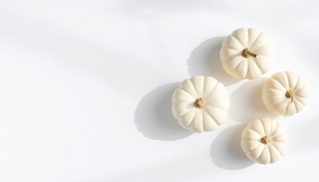 Minimalist Halloween Still Life Featuring Four Small White Pumpkins Arranged Artfully on a Clean Bright Surface for Seasonal Holiday Decor