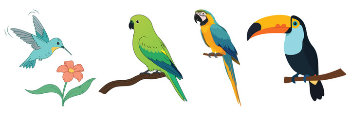 Fototapeta premium Colorful tropical bird illustration set featuring hummingbird, budgerigar, macaw, and toucan isolated on transparent background.