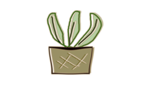 ゆるい手書きタッチがおしゃれな鉢植えの観葉植物イラスト