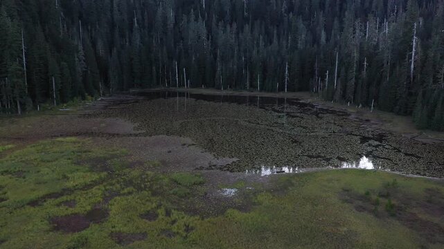 4K aerial drone footage above Goat Marsh Lake wetlands,  near Mt. St. Helens Washington, USA, with water lilies, evergreen forest and dense forest reflected in calm water during early fall