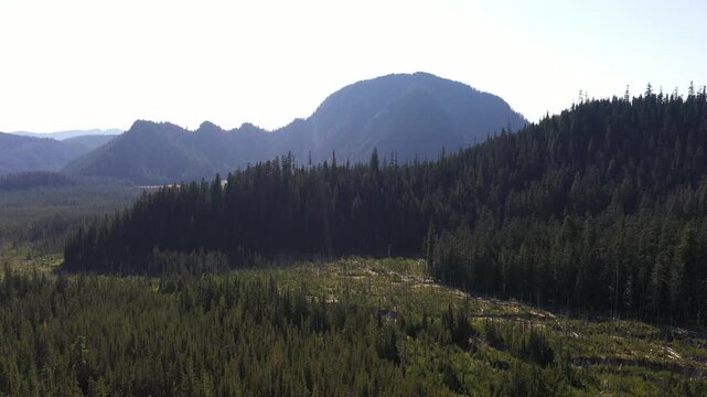 4K aerial drone footage of Goat Mountain in Washington, USA, rising above dense evergreen forest and scenic highlands in the Goat Marsh area of the Pacific Northwest during early fall
