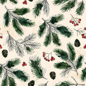 Pine_Botanical 26