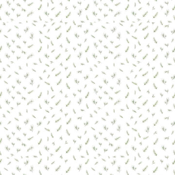 Pine_Botanical 24