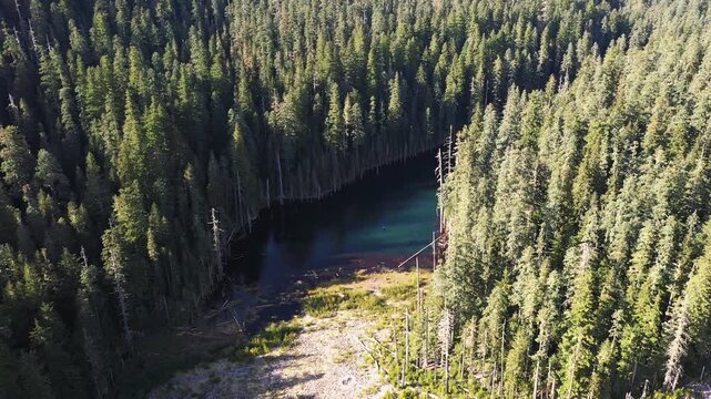4K aerial drone footage of Blue Lake in Mt. St. Helens area, Washington, USA, with clear blue green water, standing dead tree trunks and dense evergreen forest in a scenic Pacific Northwest landscape