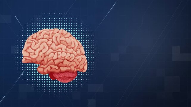 Animated Human Brain Graphic on Blue Digital Background Loop