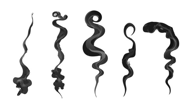 Five wisps of smoke with varying shapes are rendered in grayscale against a white background gray grey curvilinear sinuous volumetric atmospheric vapor cloud