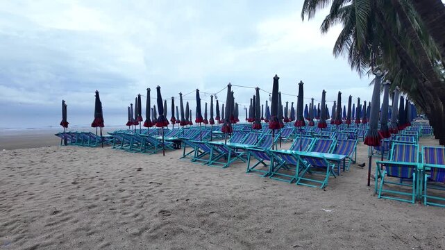 Beach chair and umbrella rows sandy shore cloudy sky with palm tree nearby, seaside relaxation vacation summer leisure outdoors