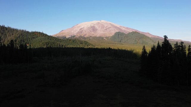 4K aerial drone footage approaching snow-free Mount St. Helens from southwest side, Washington, PNW, USA, showing volcanic slopes and dense evergreen forest under clear blue sky in early fall