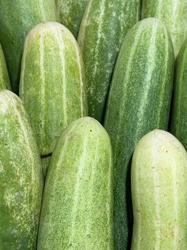 Close up of fresh green cucumbers piled together at traditional market, organic vegetable produce for healthy food and agriculture background