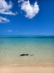Mauritius. Beautiful, crystal-clear sea and beach © pettys