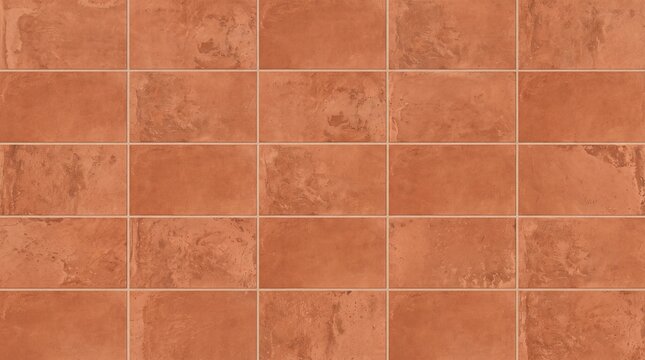 Rectangular terracotta clay tiles arranged in a uniform grid pattern with visible grout