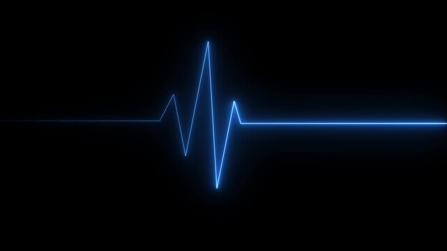 Human heart anatomy medical organ cardiology cardiovascular pulse heartbeat electrocardiogram line red health concept