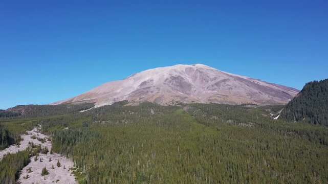 4K aerial drone footage approaching snow-free Mount St. Helens from southwest side, Washington, PNW, USA, showing volcanic slopes and dense evergreen forest under clear blue sky in early fall