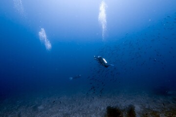 Scuba diver in blue water above a reef © JongHyeon