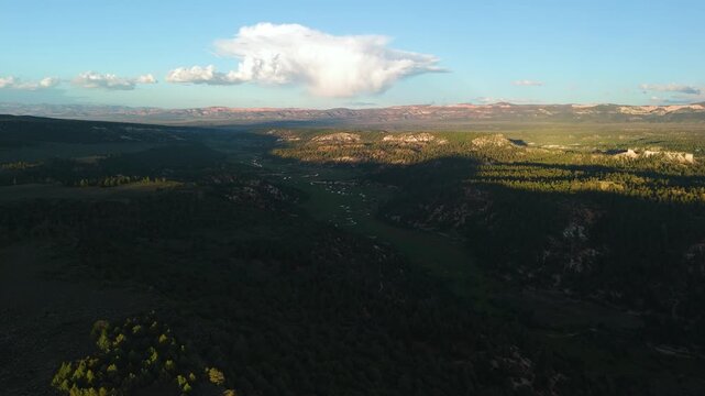 Drone Flyover of Red Rock Mountain Cliffs and Pine Trees in Utah