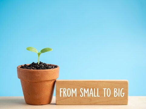 Small sprout in pot next to wooden sign suitable for business growth content symbolizing development achievement and scaling from small to big