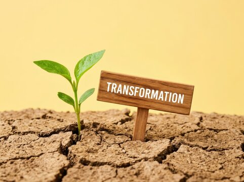 Green plant growing from cracked earth beside a wooden transformation sign suitable for business growth media symbolizing renewal and change