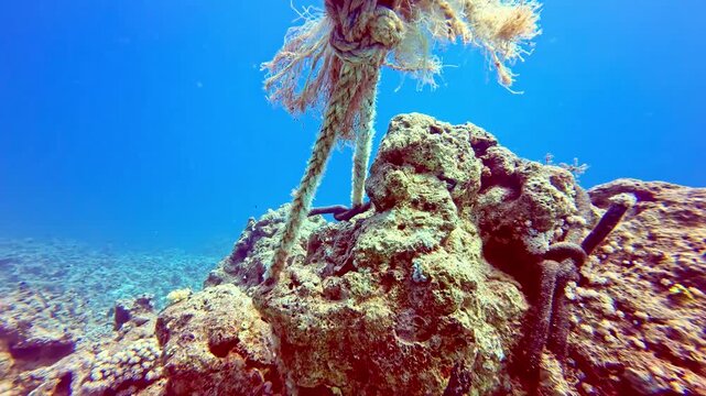 Thick frayed mooring rope tied with a knot to a large rock on the ocean floor