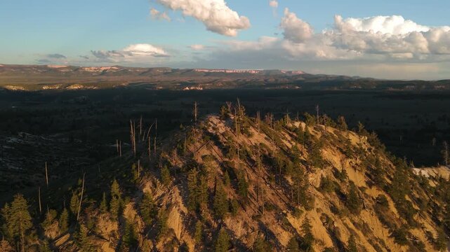 Drone Flyover of Red Rock Mountain Cliffs and Pine Trees in Utah