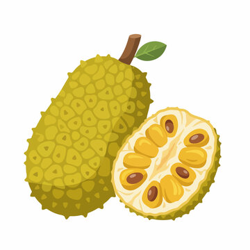 Fresh whole cempedak fruit