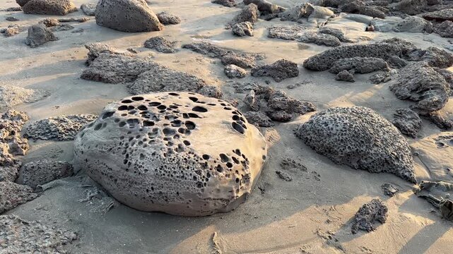 Coral Rocks on Sandy Beach at Saint Martin&rsquo;s Island, Bangladesh