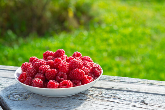 Fresh raspberries piled in a white bowl on an outdoor table. Summer berry fruit and healthy seasonal food. Farm fresh produce for desserts and cooking. Garden background with copy space