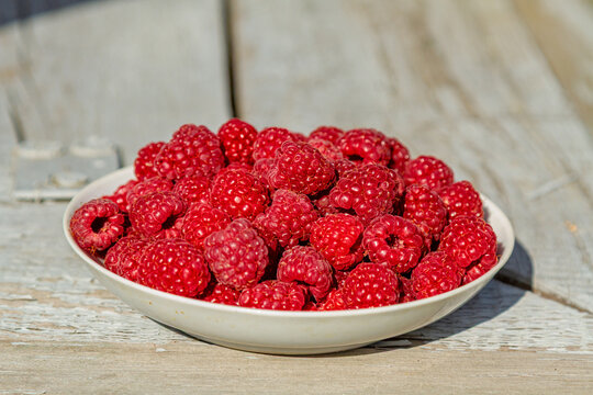 Fresh raspberries piled in a white bowl on a weathered wooden table. Red berry fruit for healthy eating and seasonal produce. Fresh ingredient for desserts, breakfast and summer recipes