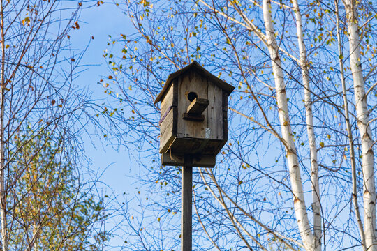 Wooden birdhouse on a post among autumn trees. Bird shelter for migratory birds. Backyard wildlife conservation and seasonal garden care. Nesting habitat for birds in a woodland