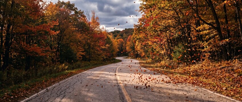 Winding asphalt road through vibrant autumn forest with colorful fallen leaves on transparent background